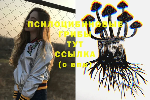 MESCALINE Няндома