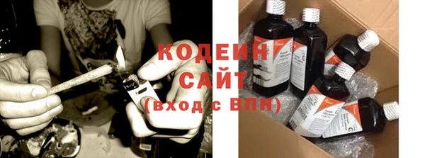 прущие грибы Абаза