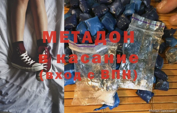 прущие грибы Абаза