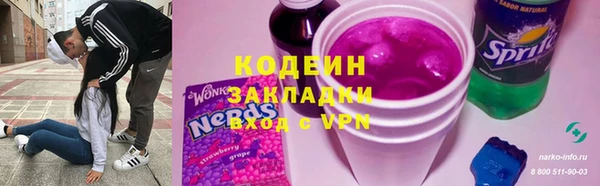 прущие грибы Абаза
