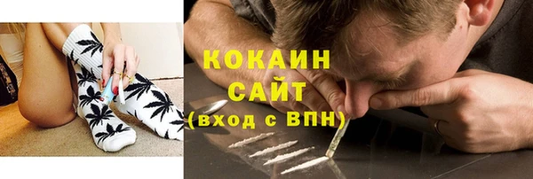 прущие грибы Абаза