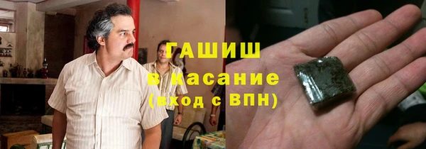 прущие грибы Абаза