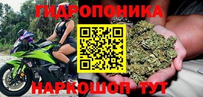 мяу мяу мука Владимир