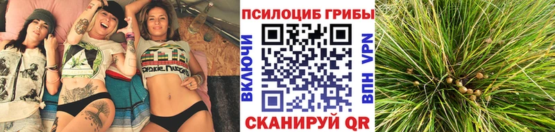 Галлюциногенные грибы GOLDEN TEACHER  наркота  Грозный 