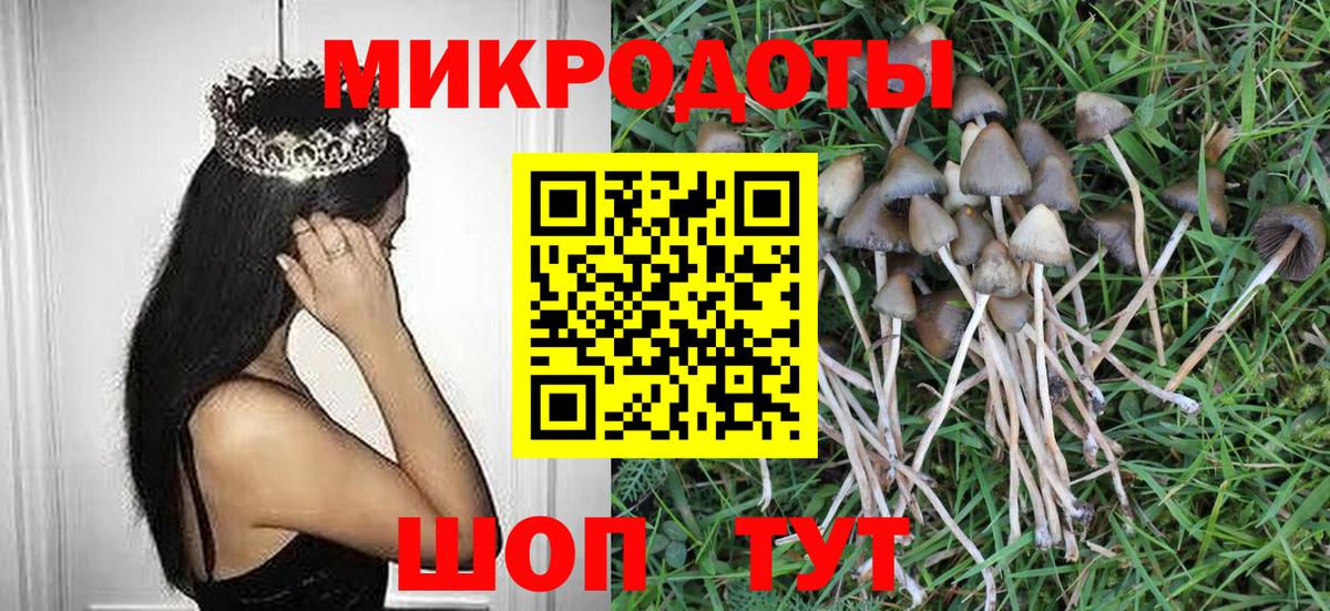 Псилоцибиновые грибы Psilocybine cubensis Грозный