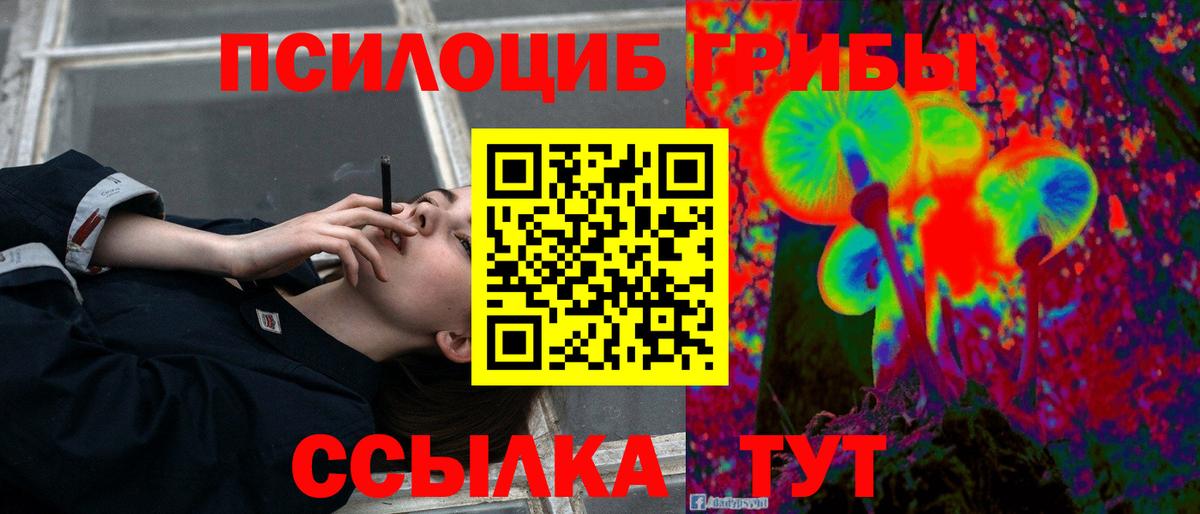 Псилоцибиновые грибы MAGIC MUSHROOMS  Вход с VPN  Грозный 